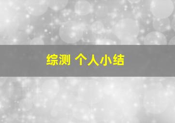 综测 个人小结